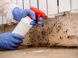 Best HVAC Mold Inspection and Cleaning  in Park Forest, IL